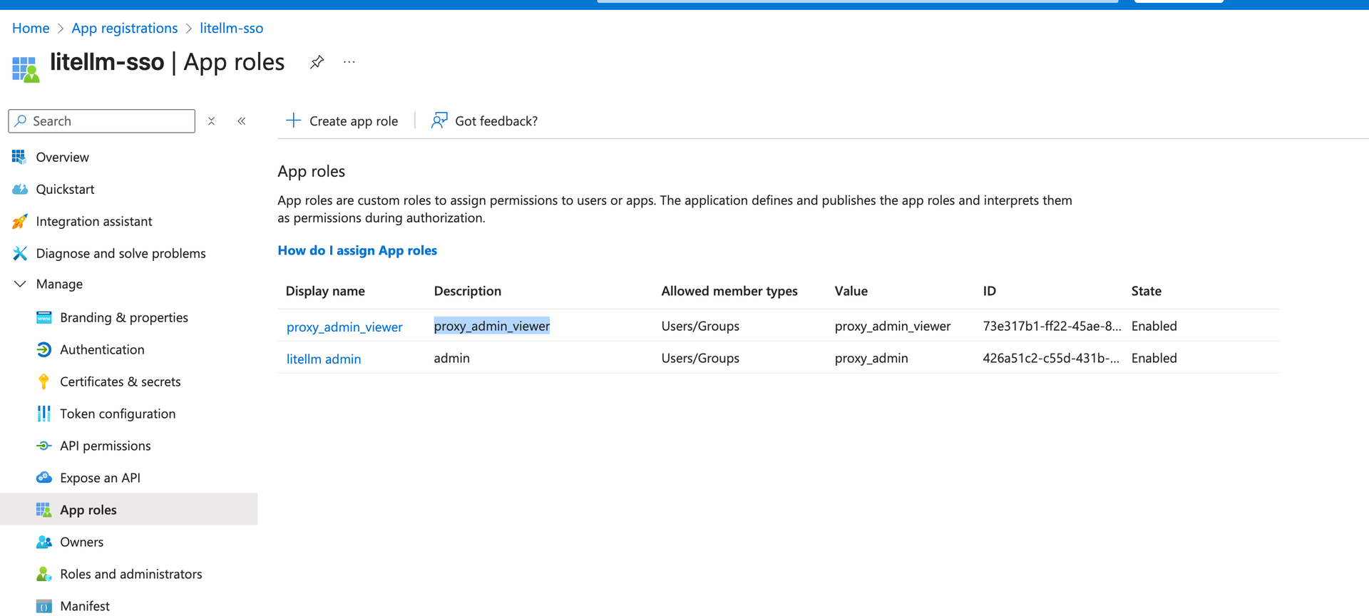 SSO for Admin UI | liteLLM