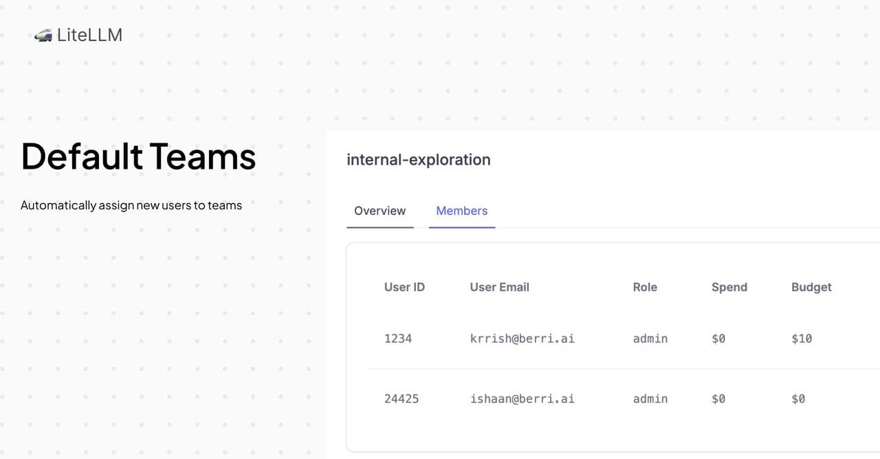 v1.73.0-stable - Set default team for new users | liteLLM