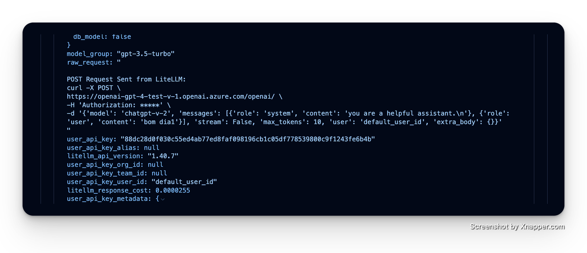 Raw request response logging litellm