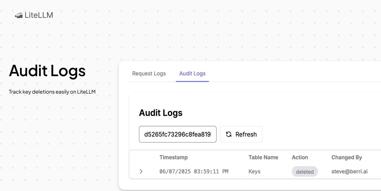 Audit Logs | liteLLM