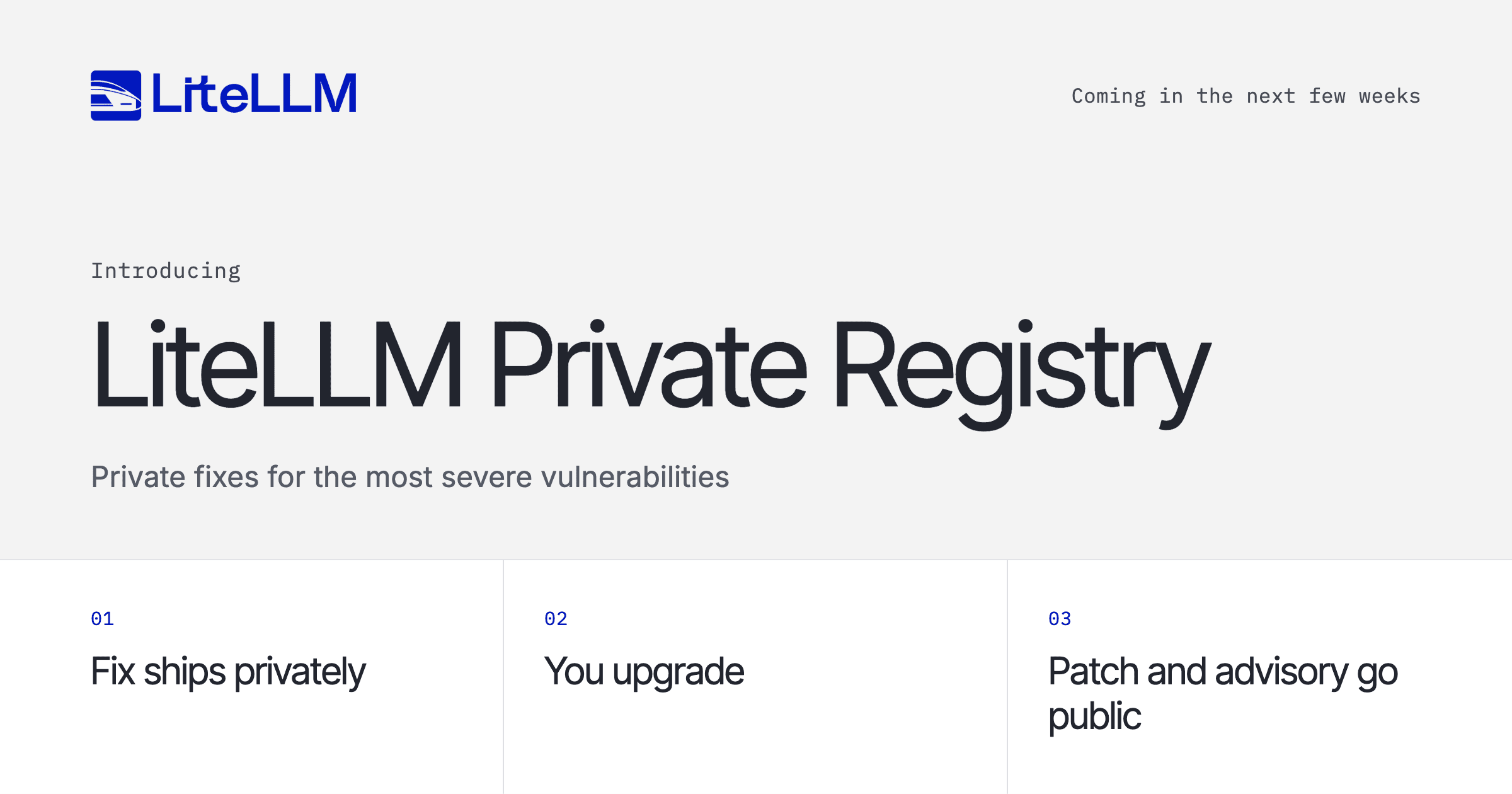 LiteLLM Private Registry: private fixes for the most severe vulnerabilities