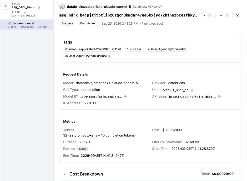 The successful completion in LiteLLM, showing request identity, token usage, and cost